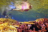 Great Barrier Reef One Day Cruise