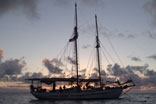 Tall Ship Sailing Townsville  Queensland