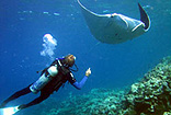 Sail and Dive the Whitsundays