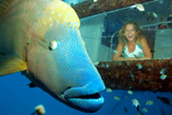 Whitsundays Queensland